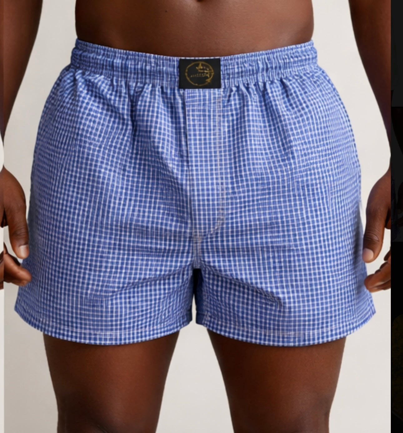 Blue Mini Check Boxer Shorts